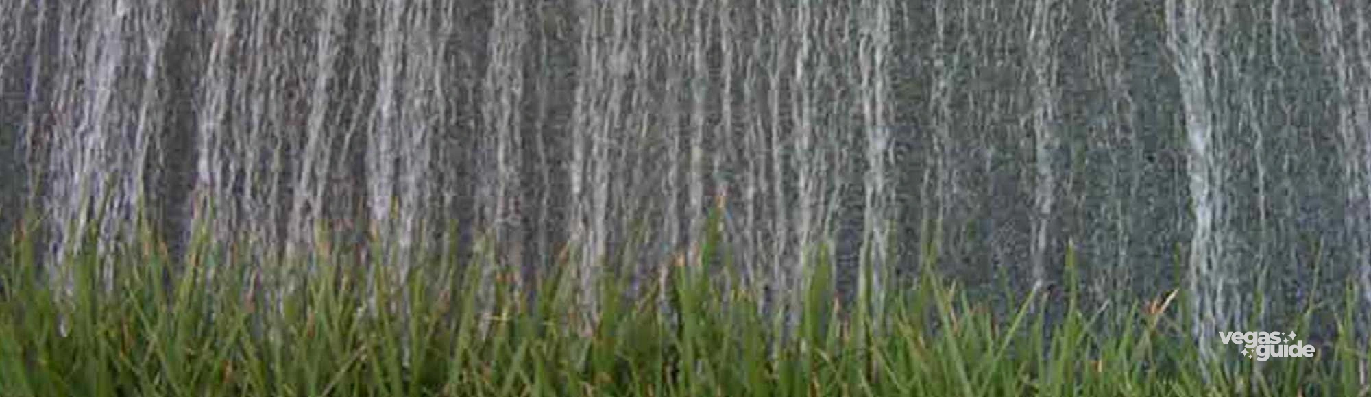 Water features at ARIA photo