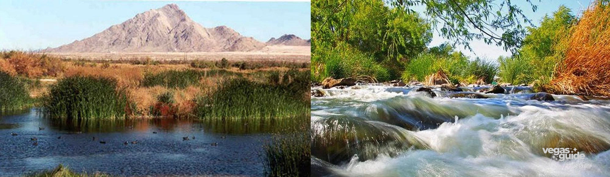 Clark County Wetlands Park photo