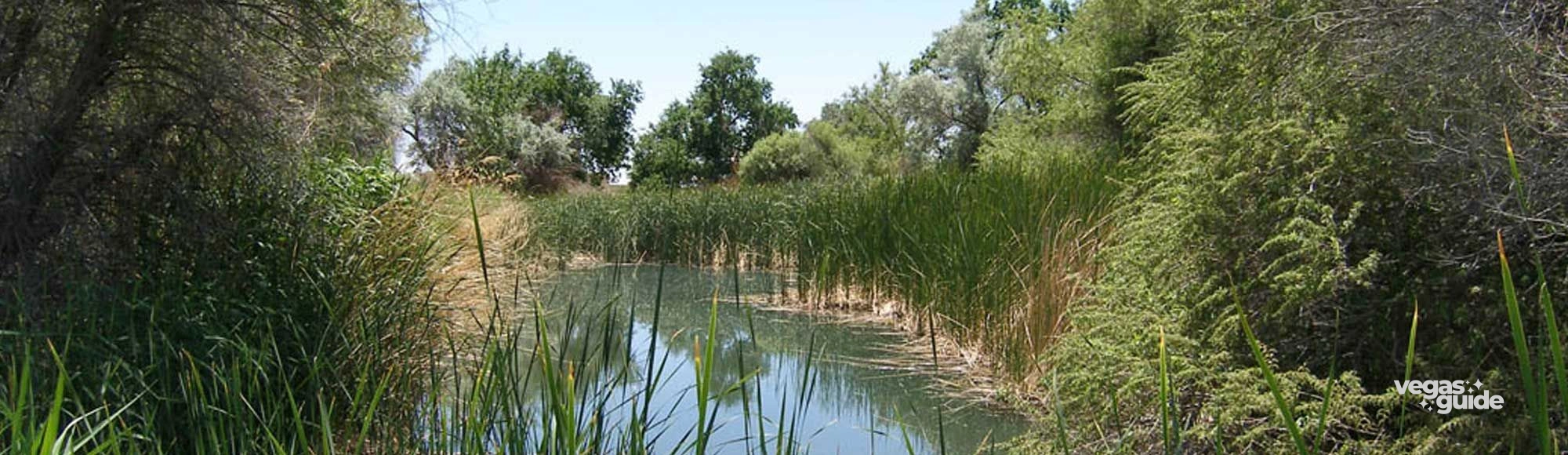 Desert National Wildlife Refuge photo