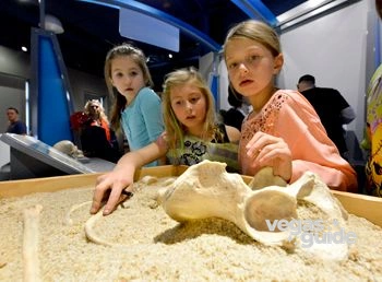 Discovery Children's Museum