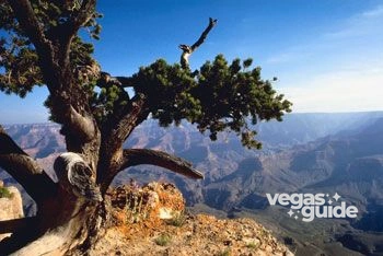 Grand Canyon National Park