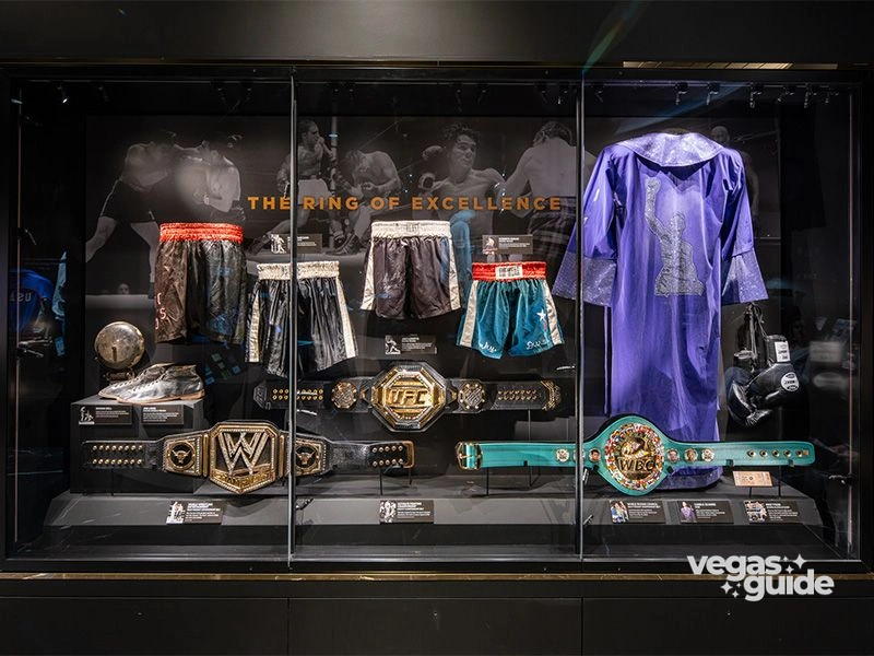 Hall of Excellence photo