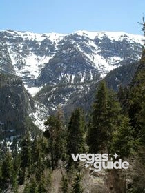 Mount Charleston