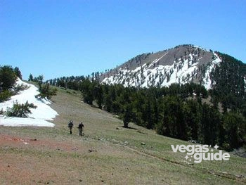 Mount Charleston