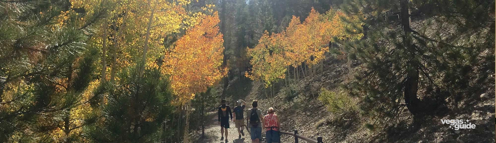 Mount Charleston photo