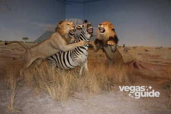 Las Vegas Natural History Museum