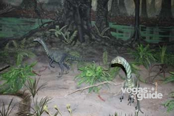 Las Vegas Natural History Museum