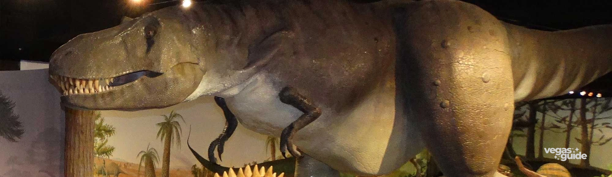 Las Vegas Natural History Museum photo
