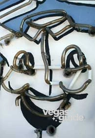 Neon Museum and Boneyard