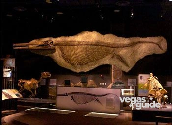 Nevada State Museum