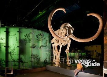 Nevada State Museum