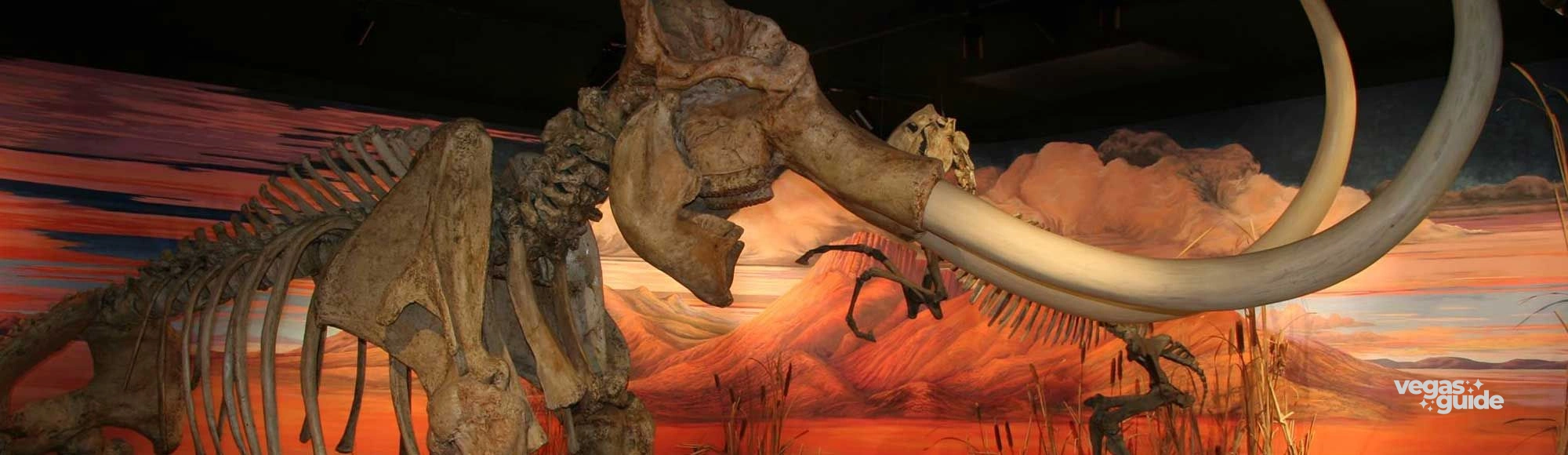 Nevada State Museum photo