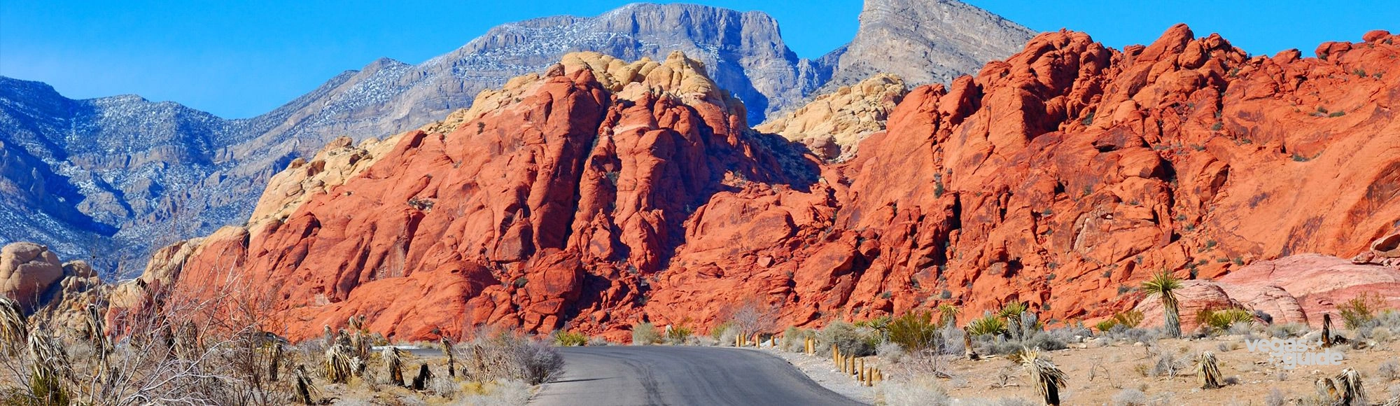Red Rock photo