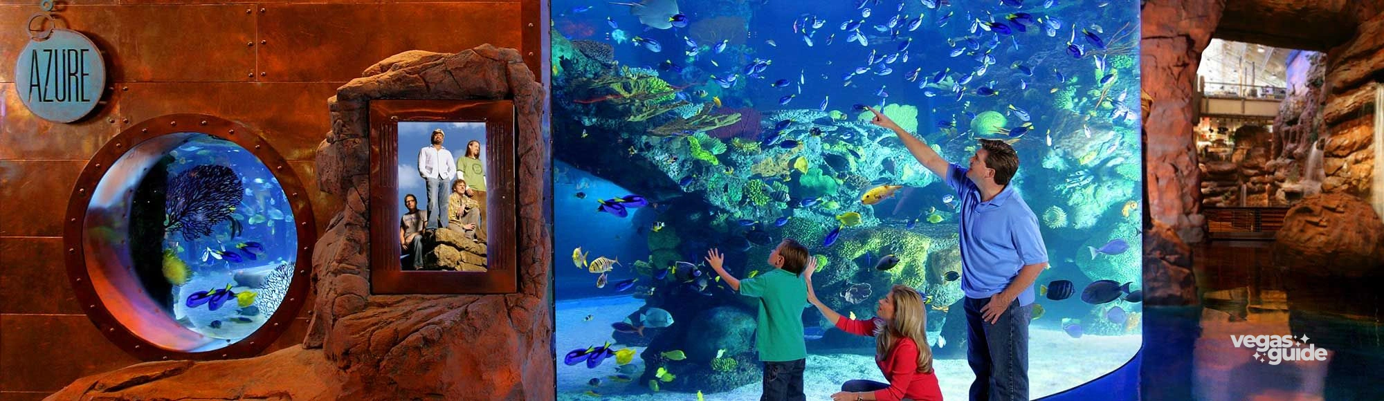 The Aquarium at the Silverton Hotel photo