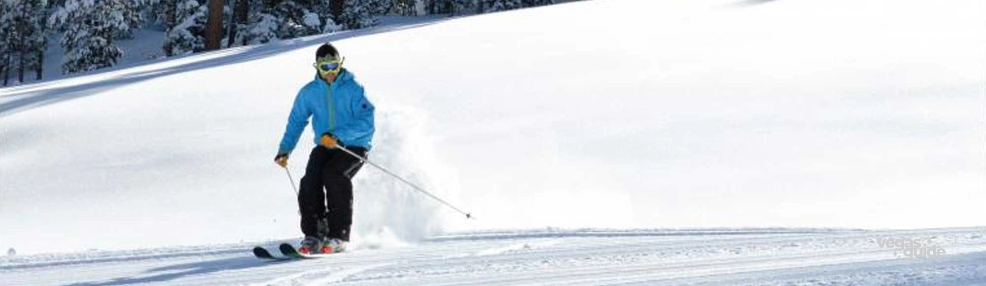 Las Vegas Ski and Snowboard photo