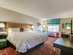 1 King Bed - Non-Smoking, Mobility / Hearing Accessible