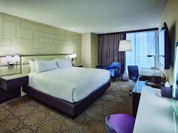 Premium Room 1 King City View Smoking