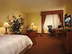 1 King Bed 1 Bedroom Suite - Mobility Accessible