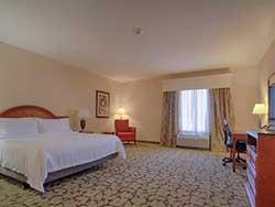 1 King Bed Suite - Mobility / Hearing Accessible