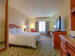 1 King Bed