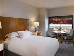 1 King Bed Studio