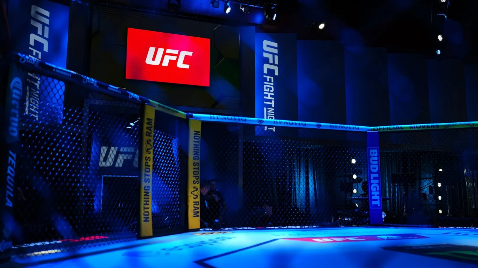 UFC Fights in Las Vegas