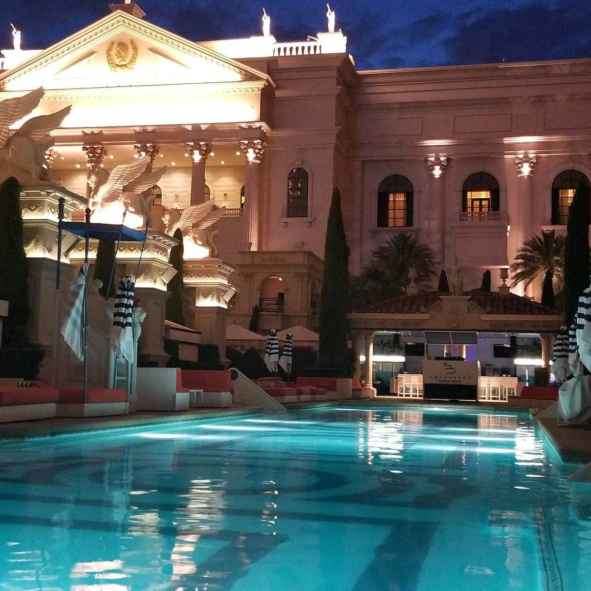 Venus Pool + Lounge