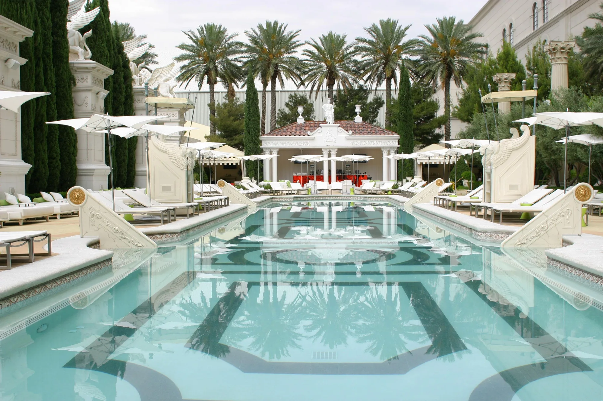 Venus Pool + Lounge
