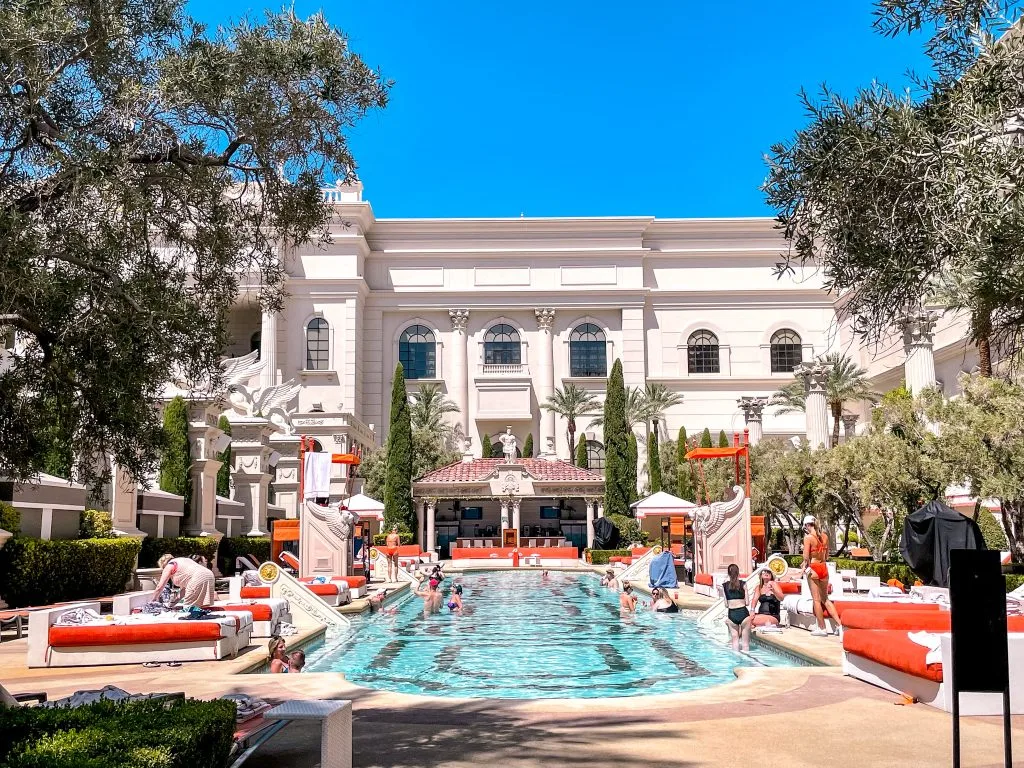 Venus Pool + Lounge