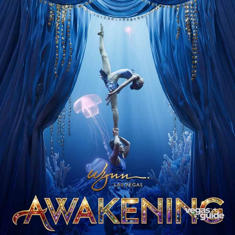 Awakening poster