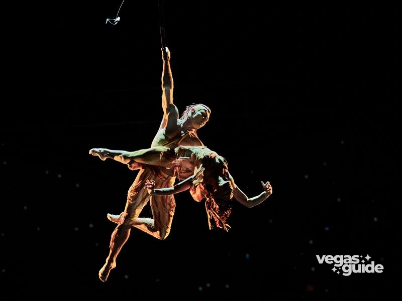 Mystère by Cirque du Soleil