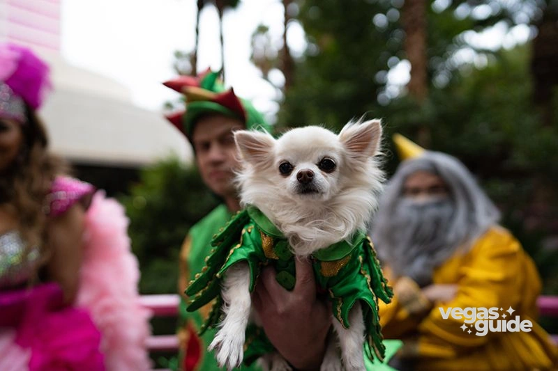 Piff the Magic Dragon Show