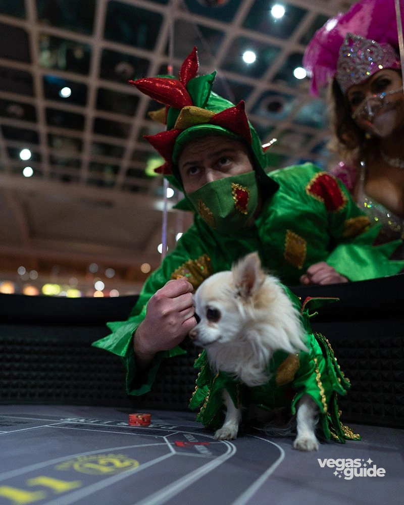 Piff the Magic Dragon Show