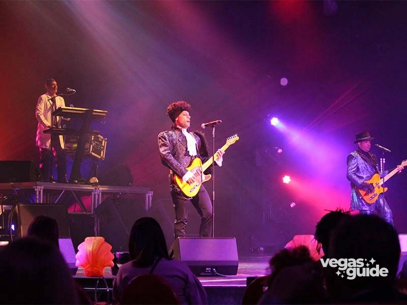 Purple Reign, THE Prince Tribute Show