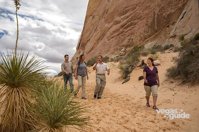 A Day at Valley of Fire