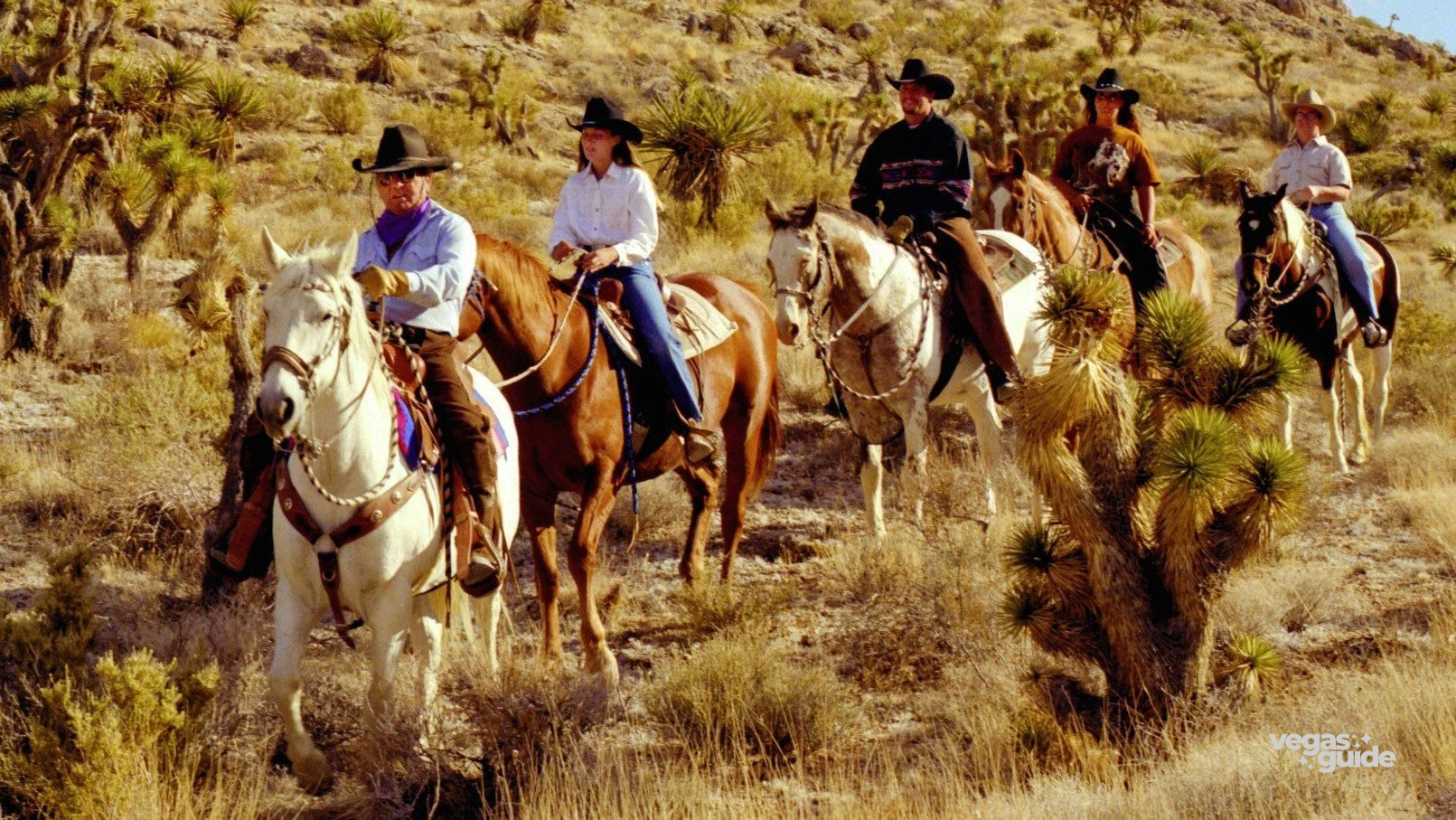 Wild West Horseback Adventures
