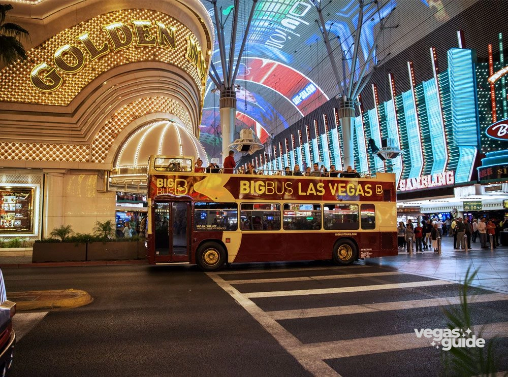 BIG BUS NIGHT TOURS