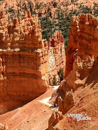 Bryce Canyon & Zion National Park