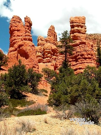 Bryce Canyon & Zion National Park