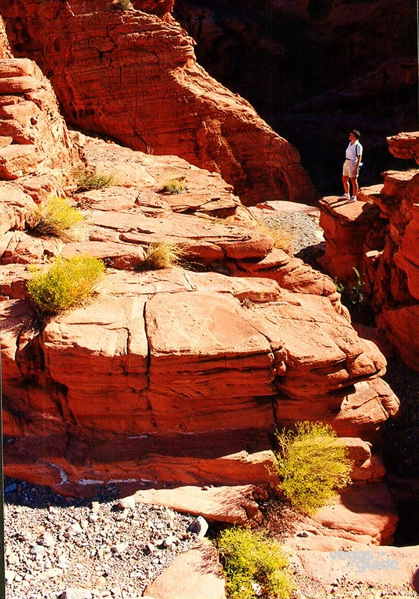 Valley of Fire and Lost City Museum Tour